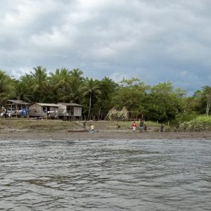 Landscape photo of Anchicaya River in Buenaventura, Colombia. View from across the river: overcast skies, wide river and small dwellings along opposite riverbank, surrounded by lush green trees and grassy clearings. Photo by Marcela Velasco/CSU College of Liberal Arts.