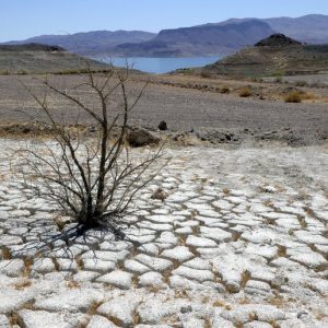 Dry Lake Mead