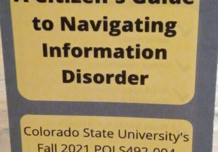 A Citizen's Guide to Navigating Information Disorder